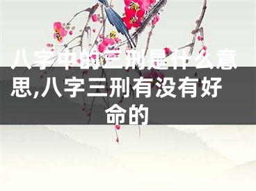 八字中的三刑是什么意思,八字三刑有没有好命的
