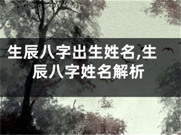 生辰八字出生姓名,生辰八字姓名解析
