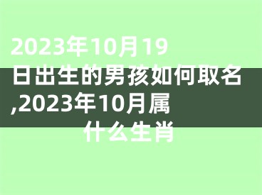2023年10月19日出生的男孩如何取名,2023年10月属什么生肖