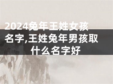2024兔年王姓女孩名字,王姓兔年男孩取什么名字好