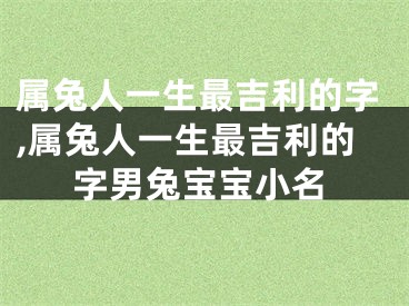 属兔人一生最吉利的字,属兔人一生最吉利的字男兔宝宝小名
