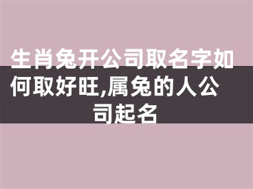 生肖兔开公司取名字如何取好旺,属兔的人公司起名