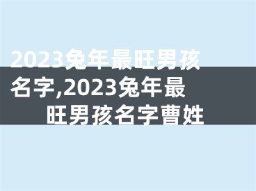 2023兔年最旺男孩名字,2023兔年最旺男孩名字曹姓