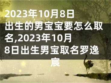2023年10月8日出生的男宝宝要怎么取名,2023年10月8日出生男宝取名罗逸宸