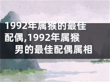 1992年属猴的最佳配偶,1992年属猴男的最佳配偶属相