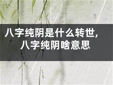 八字纯阴是什么转世,八字纯阴啥意思