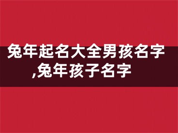 兔年起名大全男孩名字,兔年孩子名字