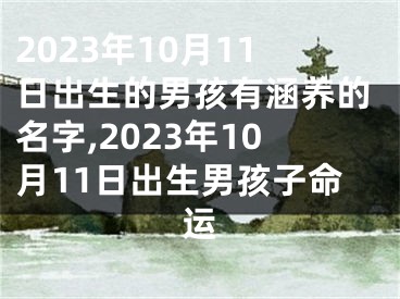 2023年10月11日出生的男孩有涵养的名字,2023年10月11日出生男孩子命运