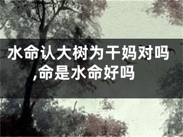 水命认大树为干妈对吗,命是水命好吗