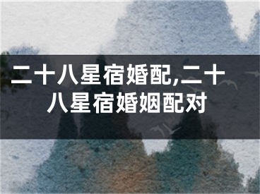 二十八星宿婚配,二十八星宿婚姻配对