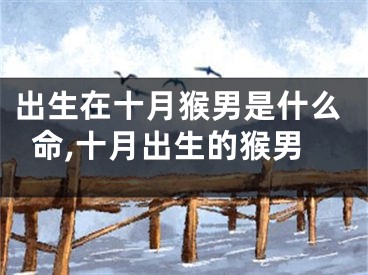 出生在十月猴男是什么命,十月出生的猴男
