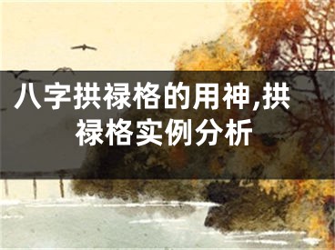 八字拱禄格的用神,拱禄格实例分析