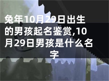 兔年10月29日出生的男孩起名鉴赏,10月29日男孩是什么名字