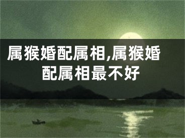 属猴婚配属相,属猴婚配属相最不好