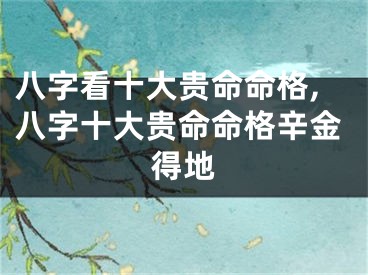 八字看十大贵命命格,八字十大贵命命格辛金得地