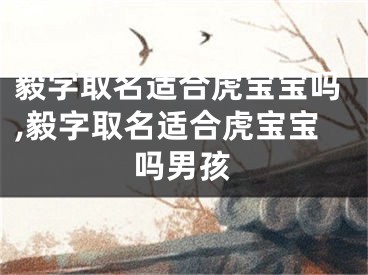 毅字取名适合虎宝宝吗,毅字取名适合虎宝宝吗男孩
