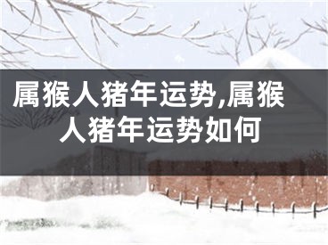 属猴人猪年运势,属猴人猪年运势如何