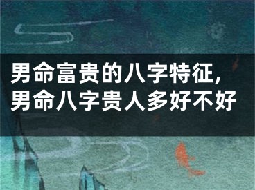 男命富贵的八字特征,男命八字贵人多好不好