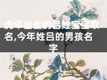 虎年出生的吕姓宝宝取名,今年姓吕的男孩名字