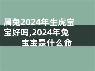 属兔2024年生虎宝宝好吗,2024年兔宝宝是什么命