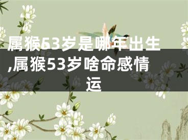 属猴53岁是哪年出生,属猴53岁啥命感情运