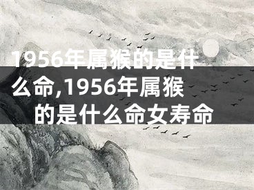 1956年属猴的是什么命,1956年属猴的是什么命女寿命