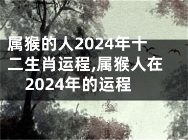 属猴的人2024年十二生肖运程,属猴人在2024年的运程