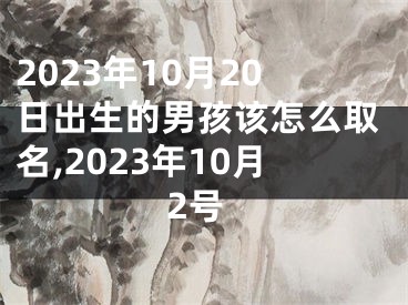 2023年10月20日出生的男孩该怎么取名,2023年10月2号