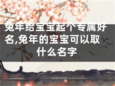 兔年给宝宝起个专属好名,兔年的宝宝可以取什么名字