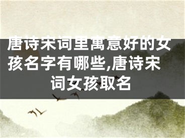 唐诗宋词里寓意好的女孩名字有哪些,唐诗宋词女孩取名
