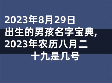2023年8月29日出生的男孩名字宝典,2023年农历八月二十九是几号