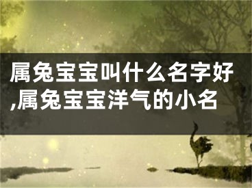 属兔宝宝叫什么名字好,属兔宝宝洋气的小名