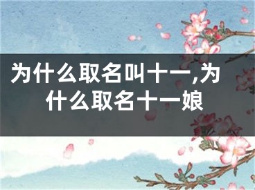 为什么取名叫十一,为什么取名十一娘