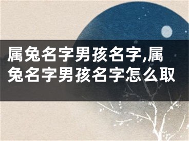 属兔名字男孩名字,属兔名字男孩名字怎么取