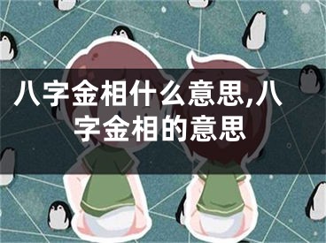 八字金相什么意思,八字金相的意思