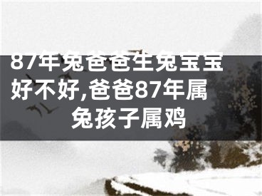 87年兔爸爸生兔宝宝好不好,爸爸87年属兔孩子属鸡