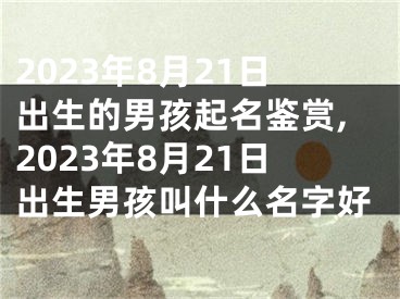 2023年8月21日出生的男孩起名鉴赏,2023年8月21日出生男孩叫什么名字好