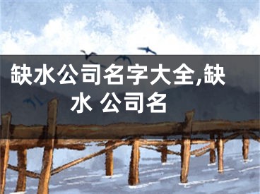 缺水公司名字大全,缺水 公司名
