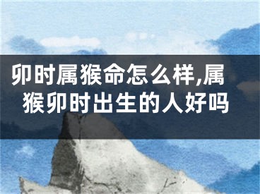 卯时属猴命怎么样,属猴卯时出生的人好吗