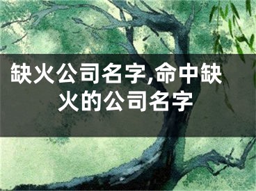 缺火公司名字,命中缺火的公司名字