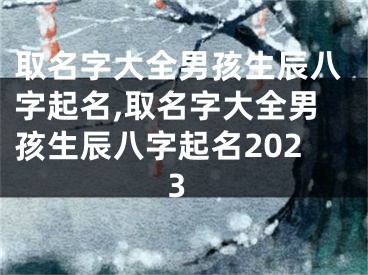 取名字大全男孩生辰八字起名,取名字大全男孩生辰八字起名2023