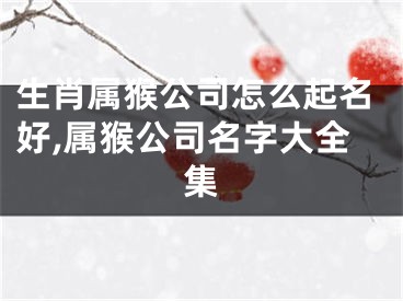 生肖属猴公司怎么起名好,属猴公司名字大全集