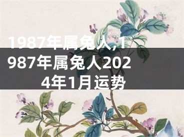 1987年属兔人,1987年属兔人2024年1月运势