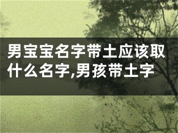 男宝宝名字带土应该取什么名字,男孩带土字