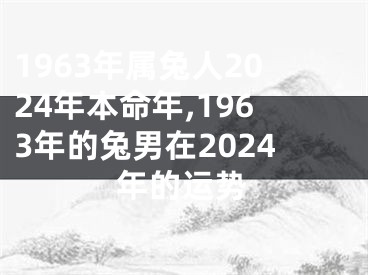 1963年属兔人2024年本命年,1963年的兔男在2024年的运势