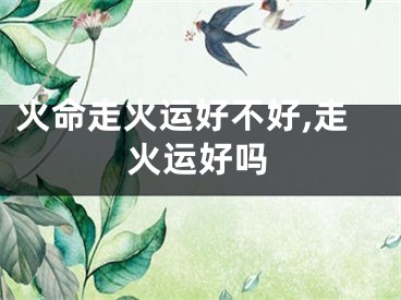 火命走火运好不好,走火运好吗