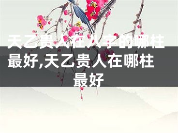 天乙贵人在八字的哪柱最好,天乙贵人在哪柱最好