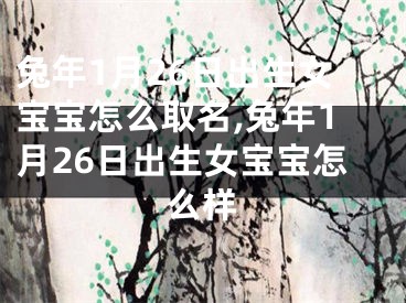 兔年1月26日出生女宝宝怎么取名,兔年1月26日出生女宝宝怎么样