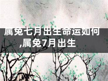 属兔七月出生命运如何,属兔7月出生