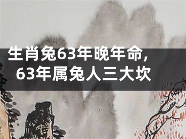 生肖兔63年晚年命,63年属兔人三大坎